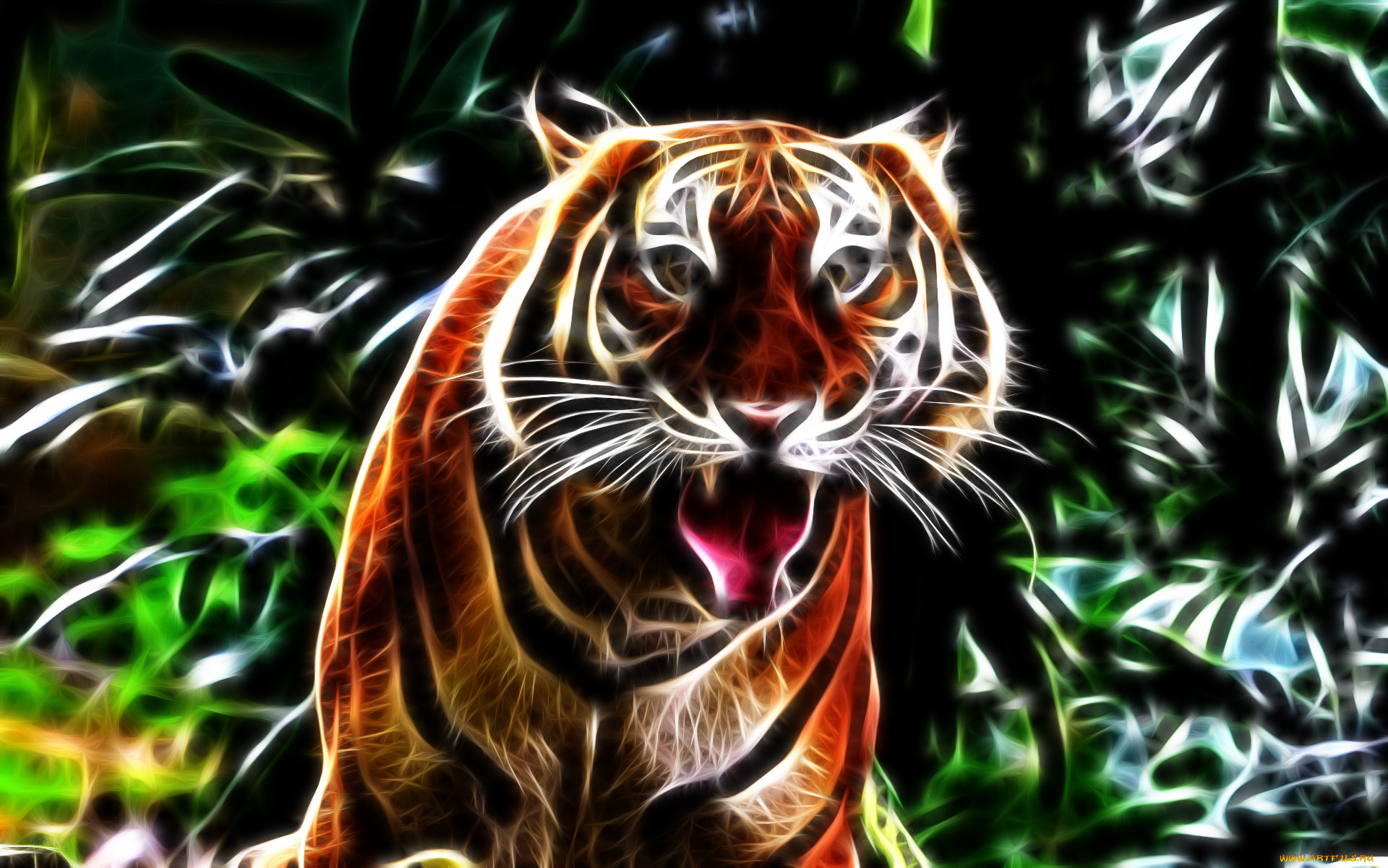 3, , animals, , tiger, , 